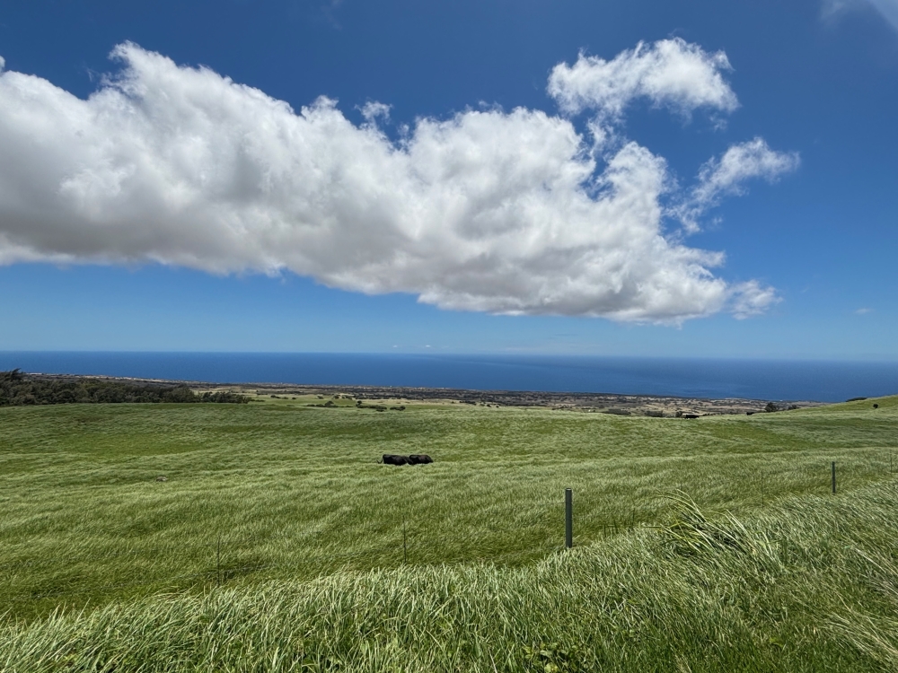 Hawaii