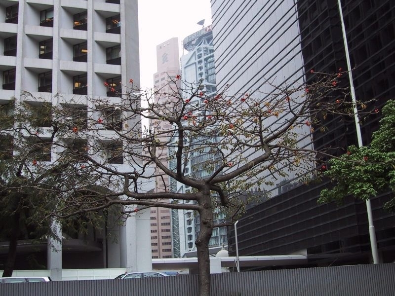 Hong Kong