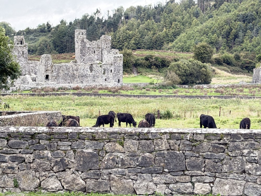 Ireland