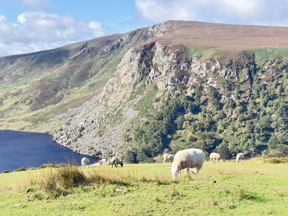 Ireland