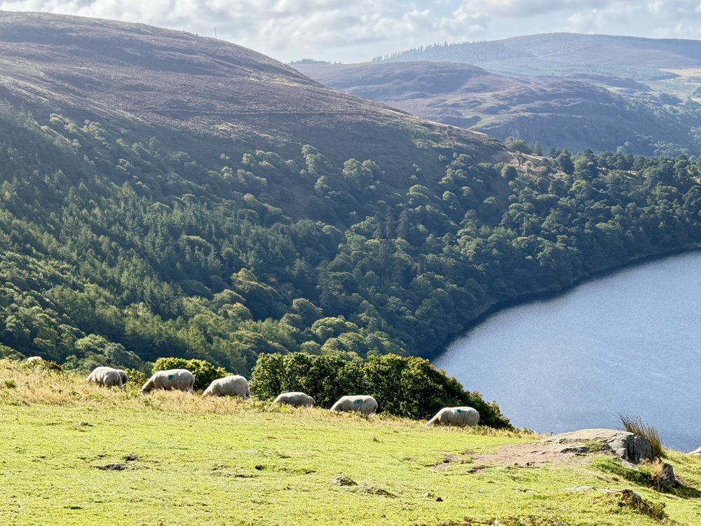 Ireland