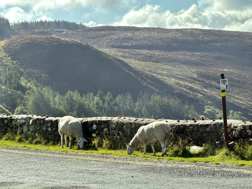 Ireland