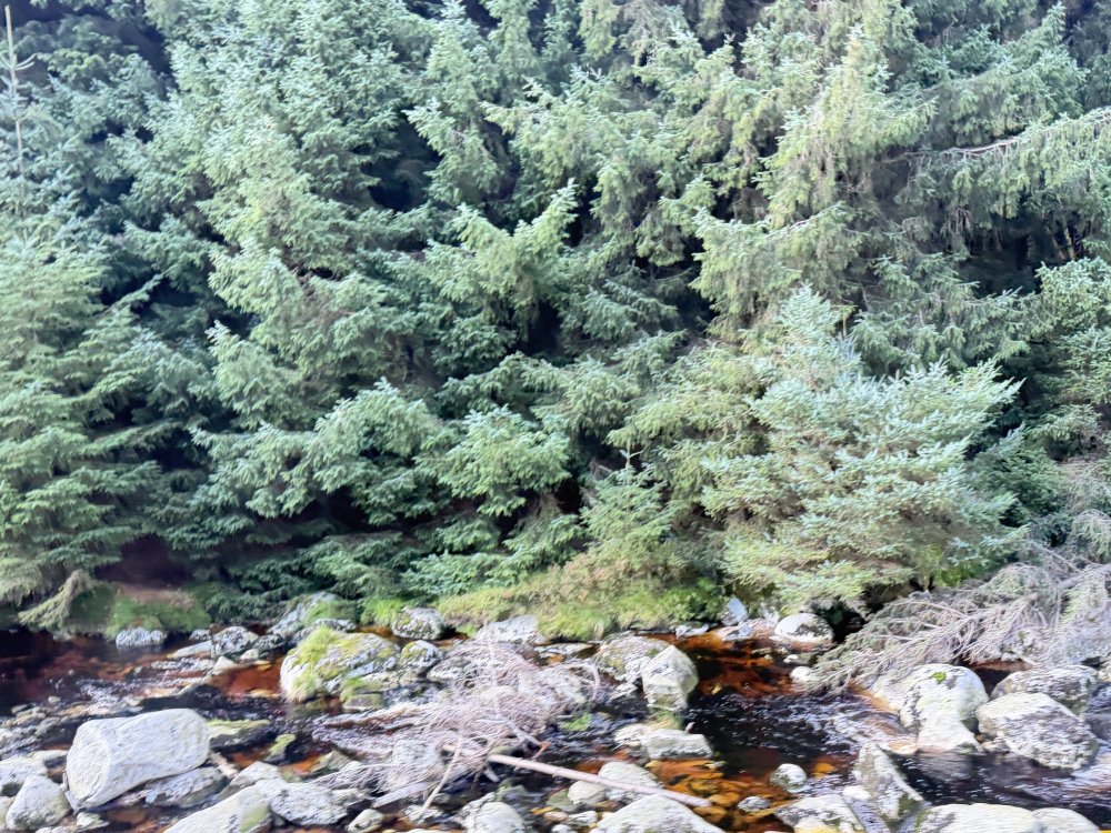 Ireland