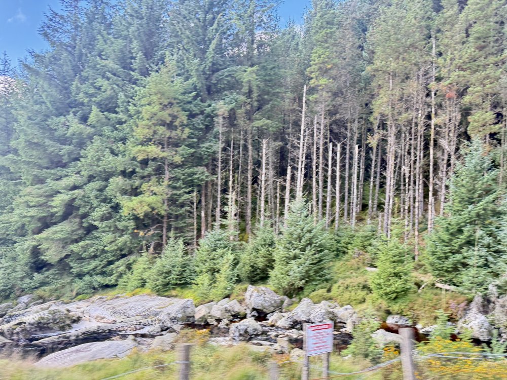 Ireland