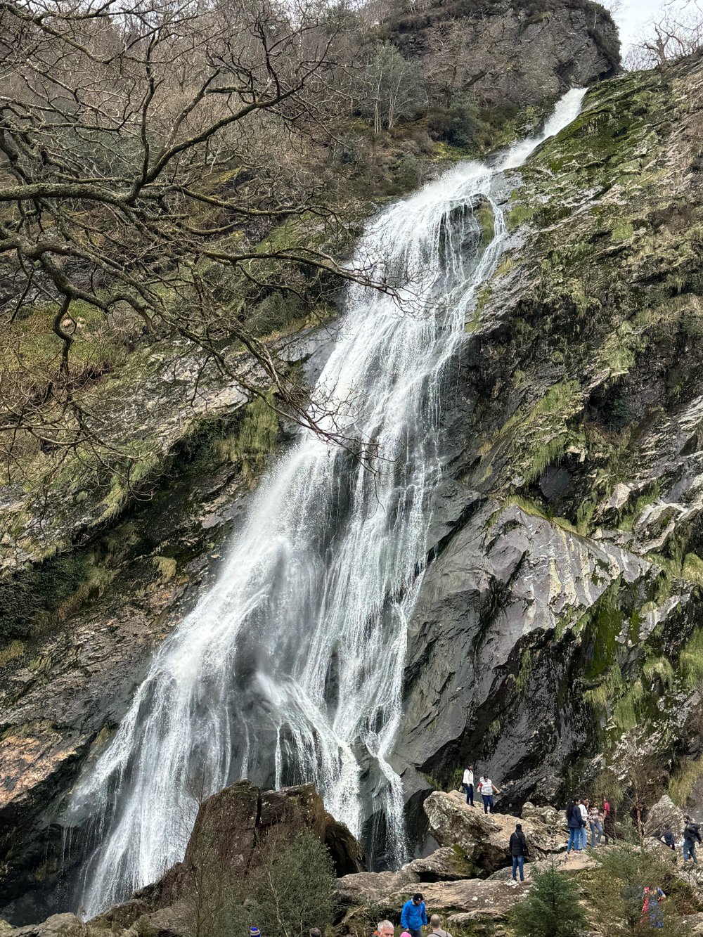 Ireland