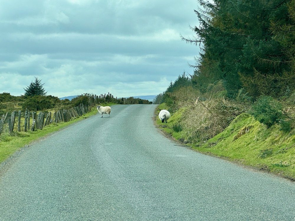 Ireland