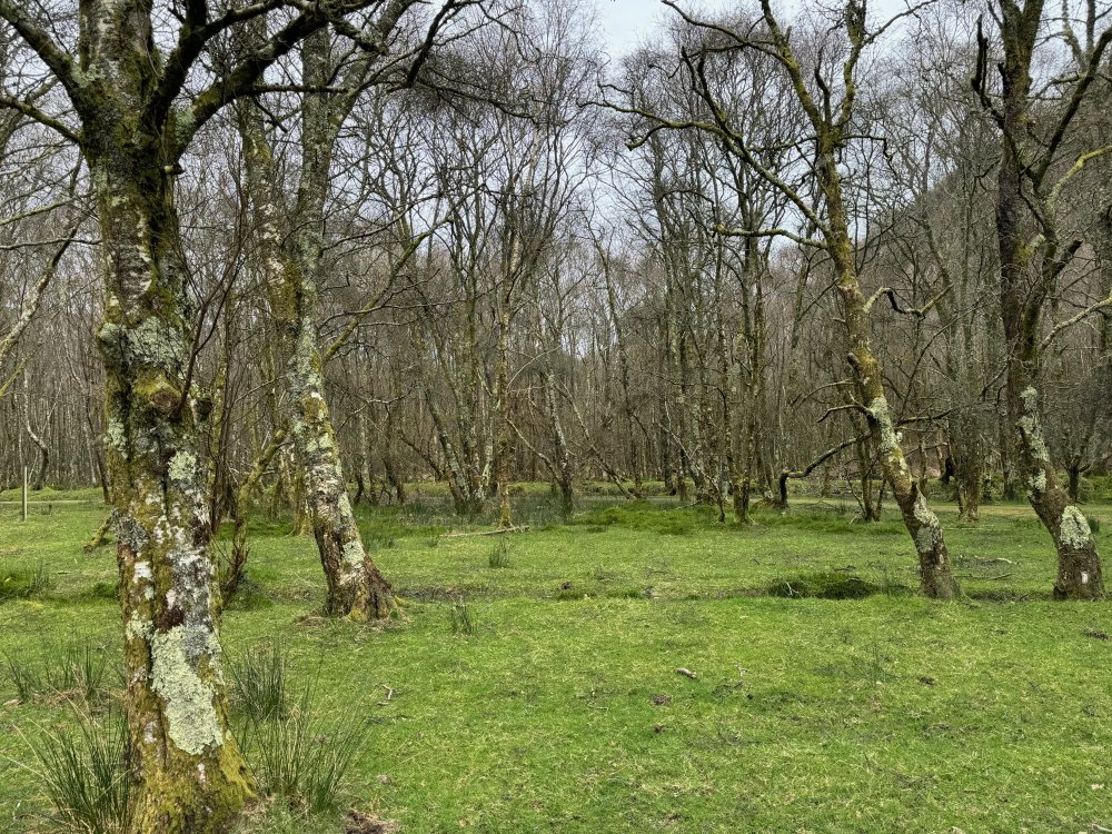 Ireland