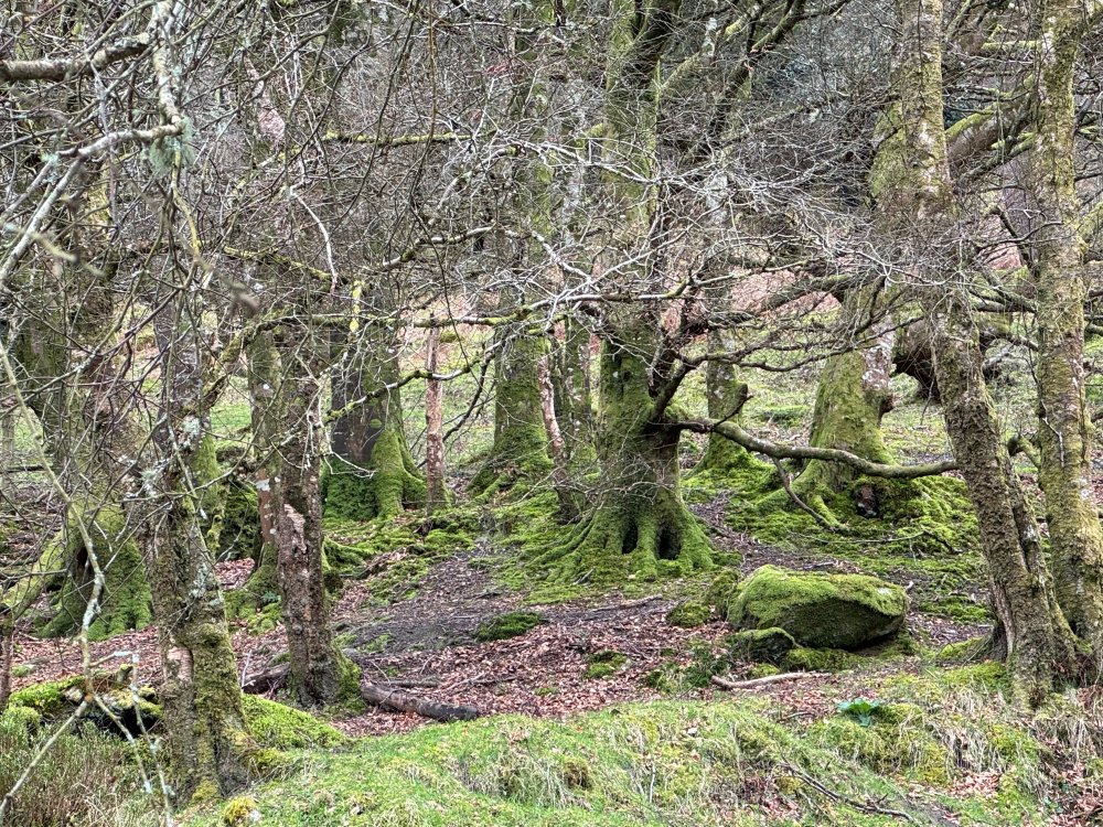 Ireland