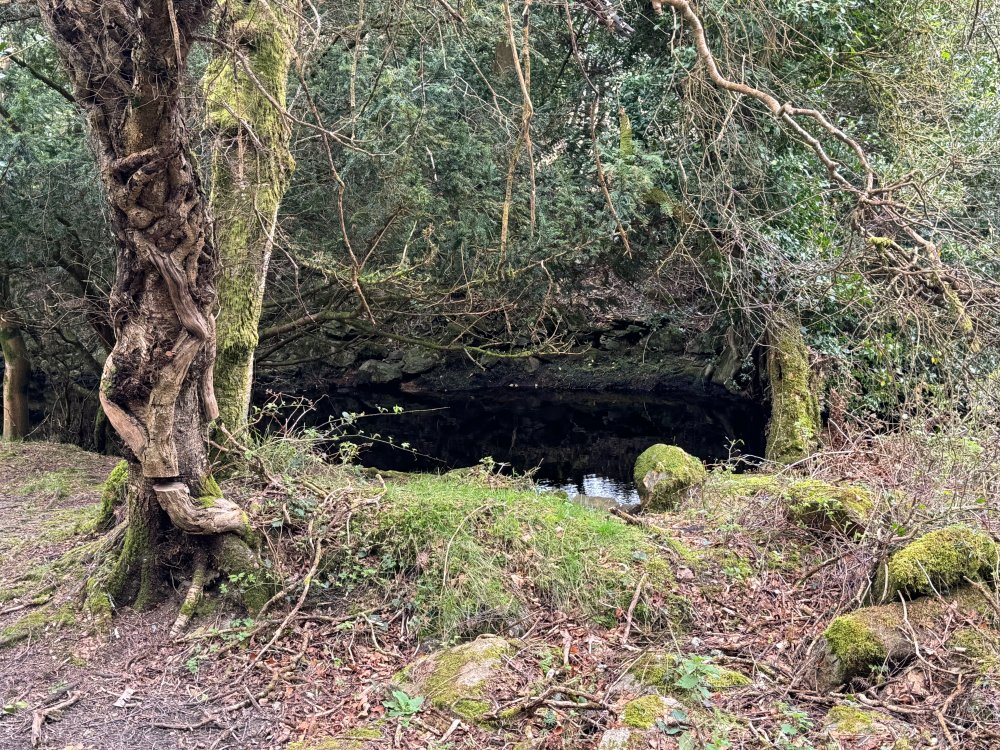 Ireland