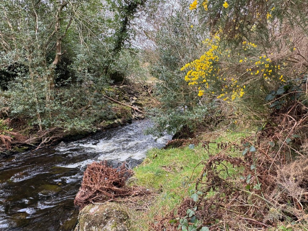 Ireland
