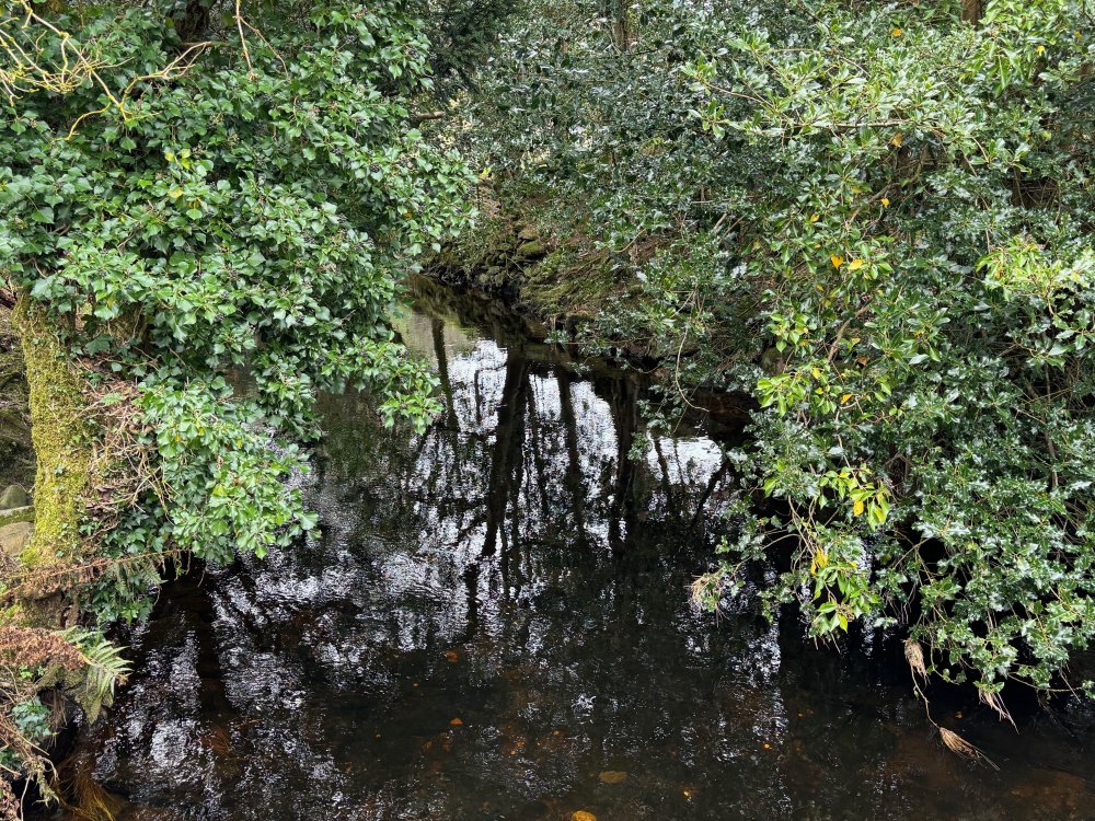 Ireland