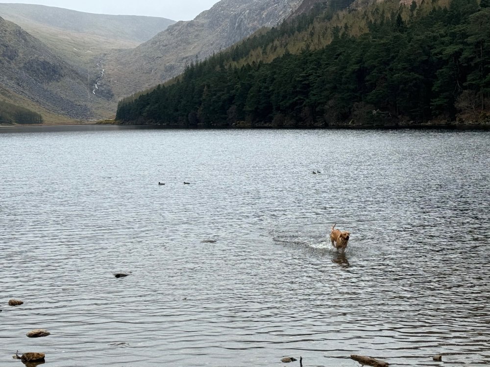 Ireland