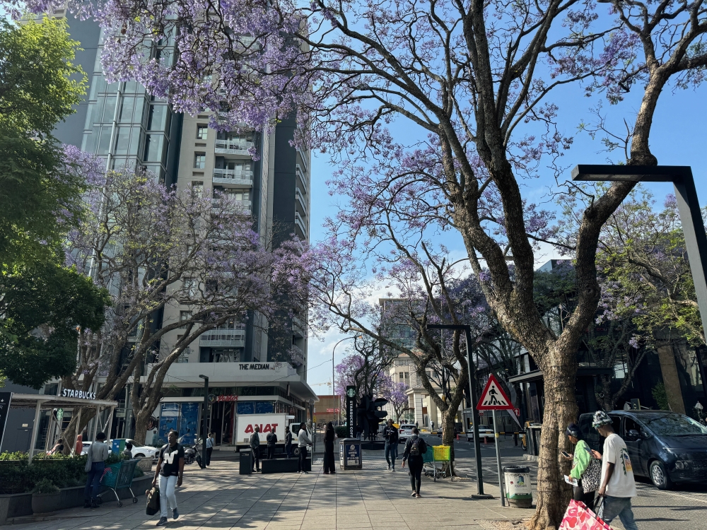 Johannesburg