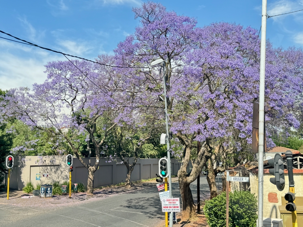 Johannesburg