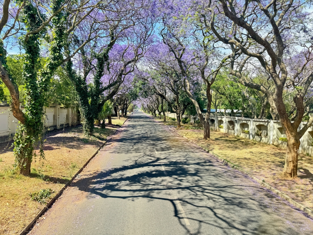 Johannesburg