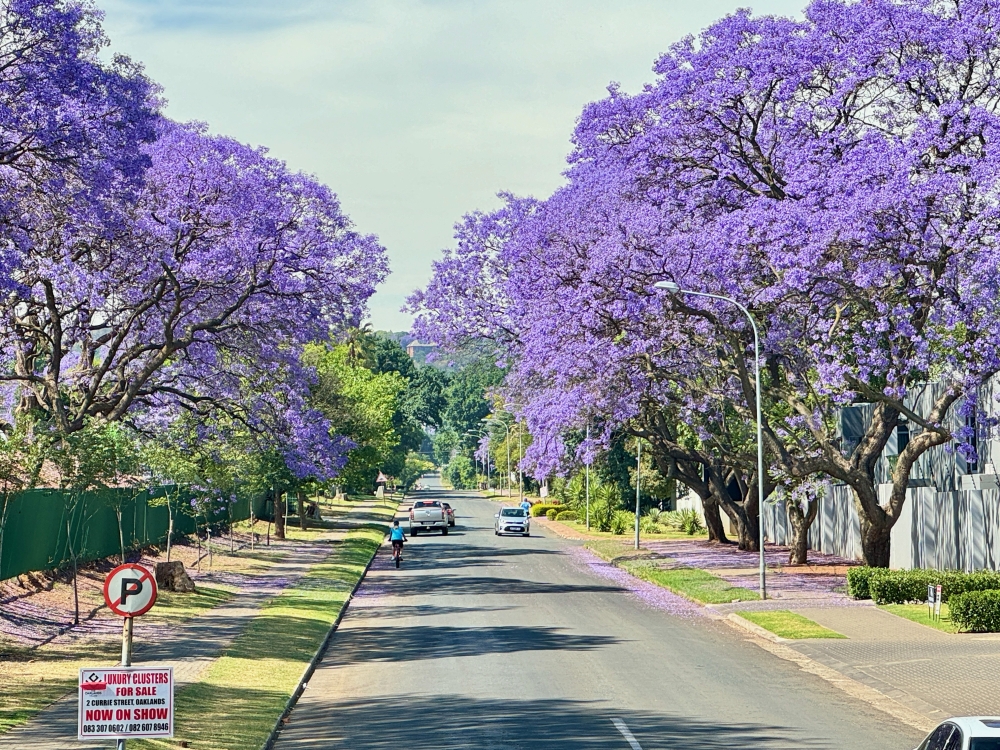 Johannesburg