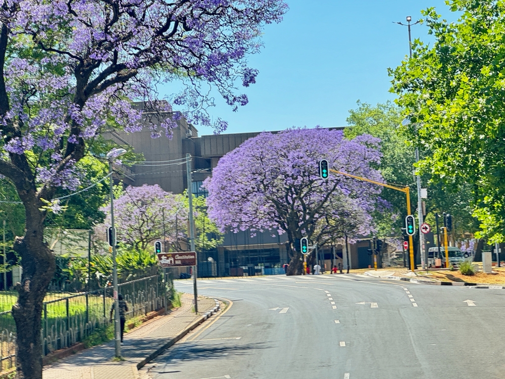 Johannesburg