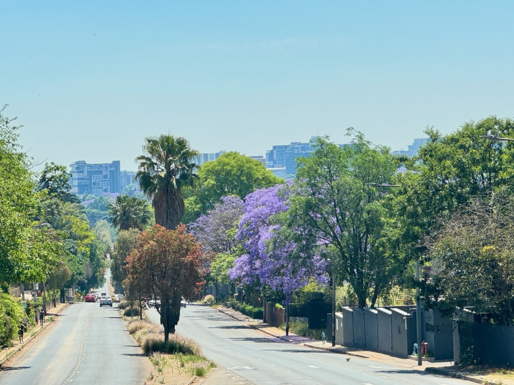 Johannesburg