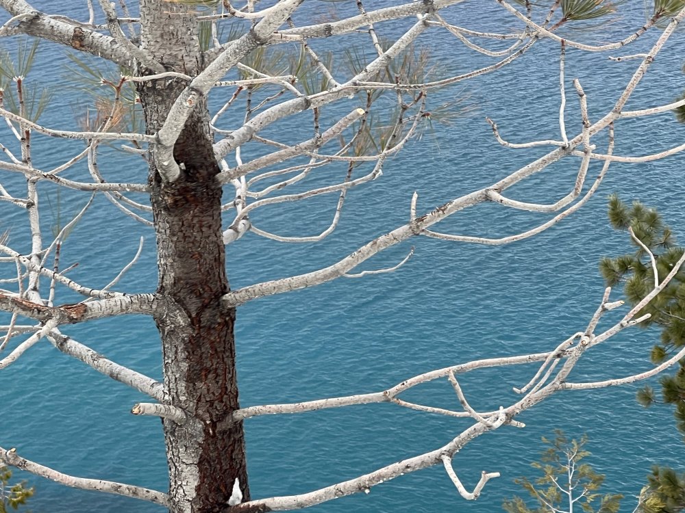 Lake Tahoe