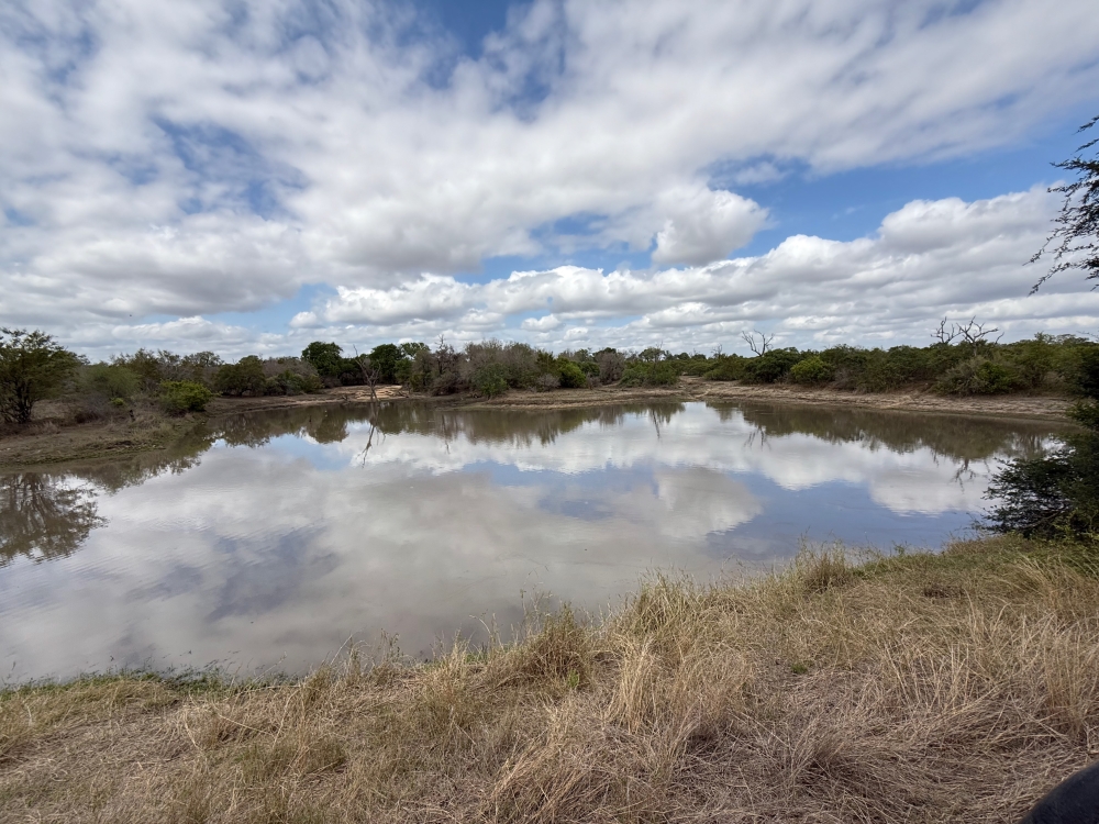 Londolozi