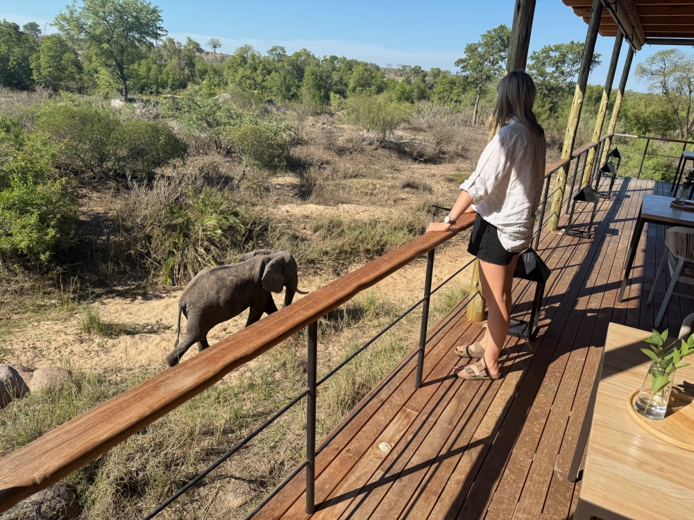 Londolozi
