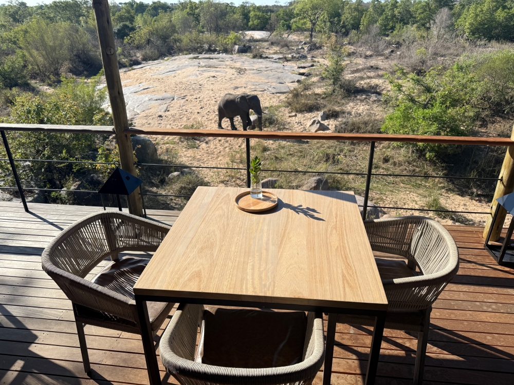 Londolozi
