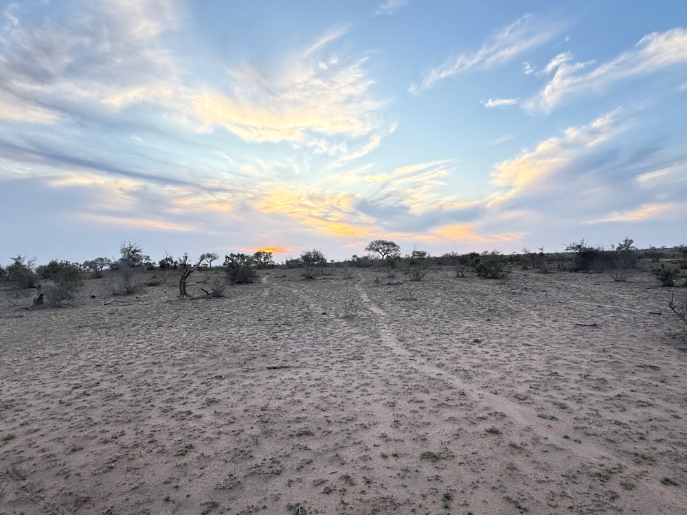 Londolozi