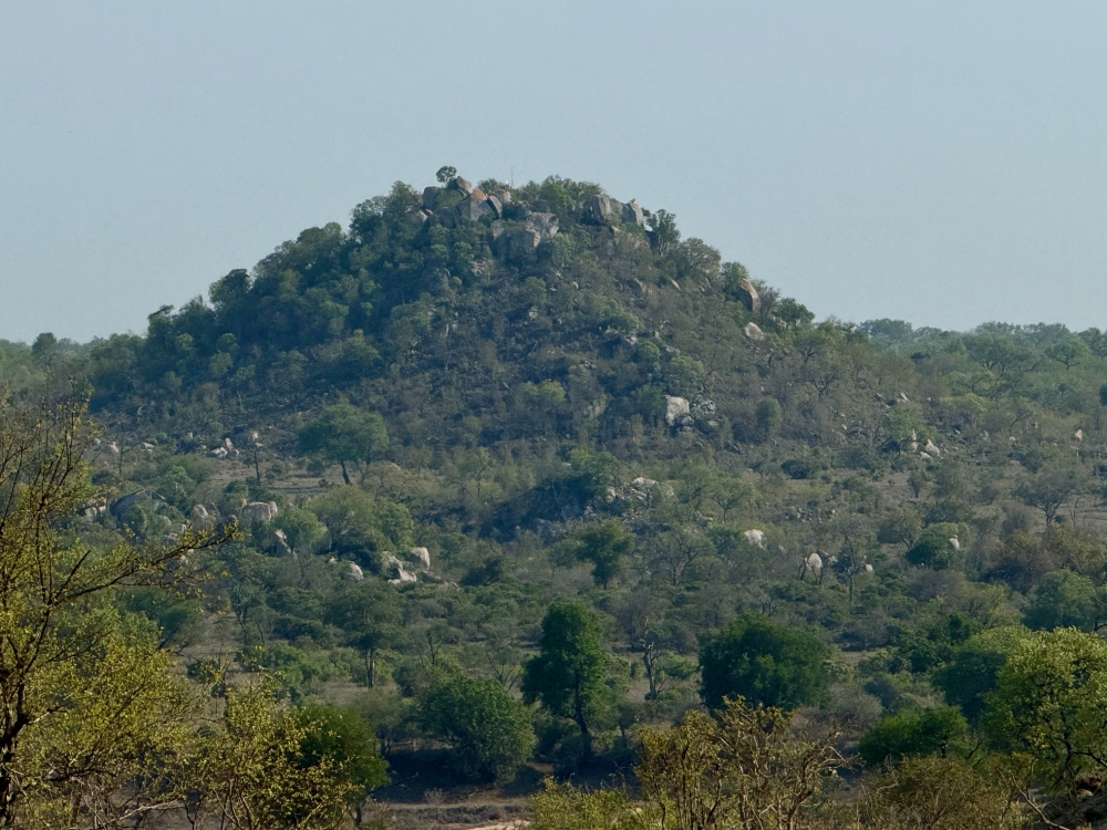 Londolozi