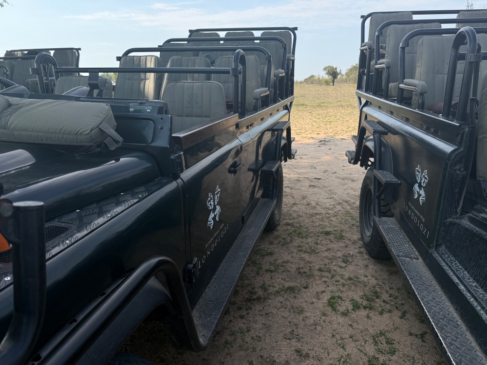 Londolozi