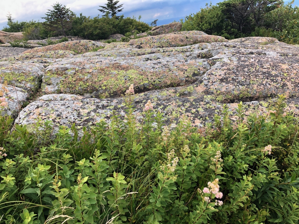 Maine