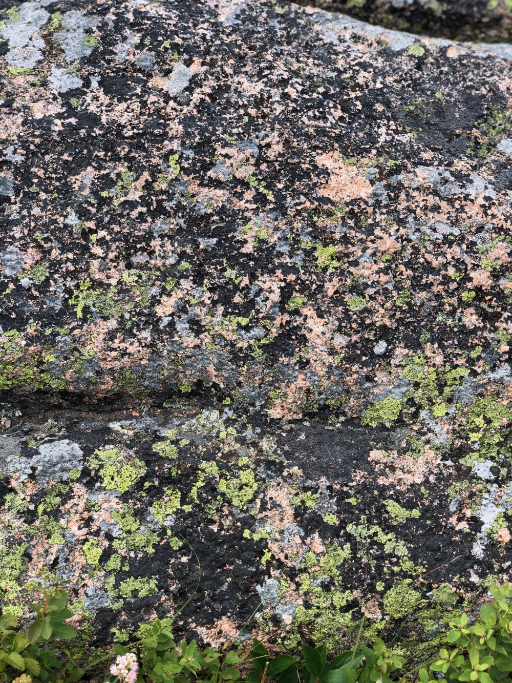 Maine