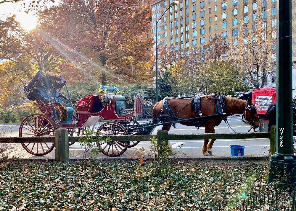 NYC