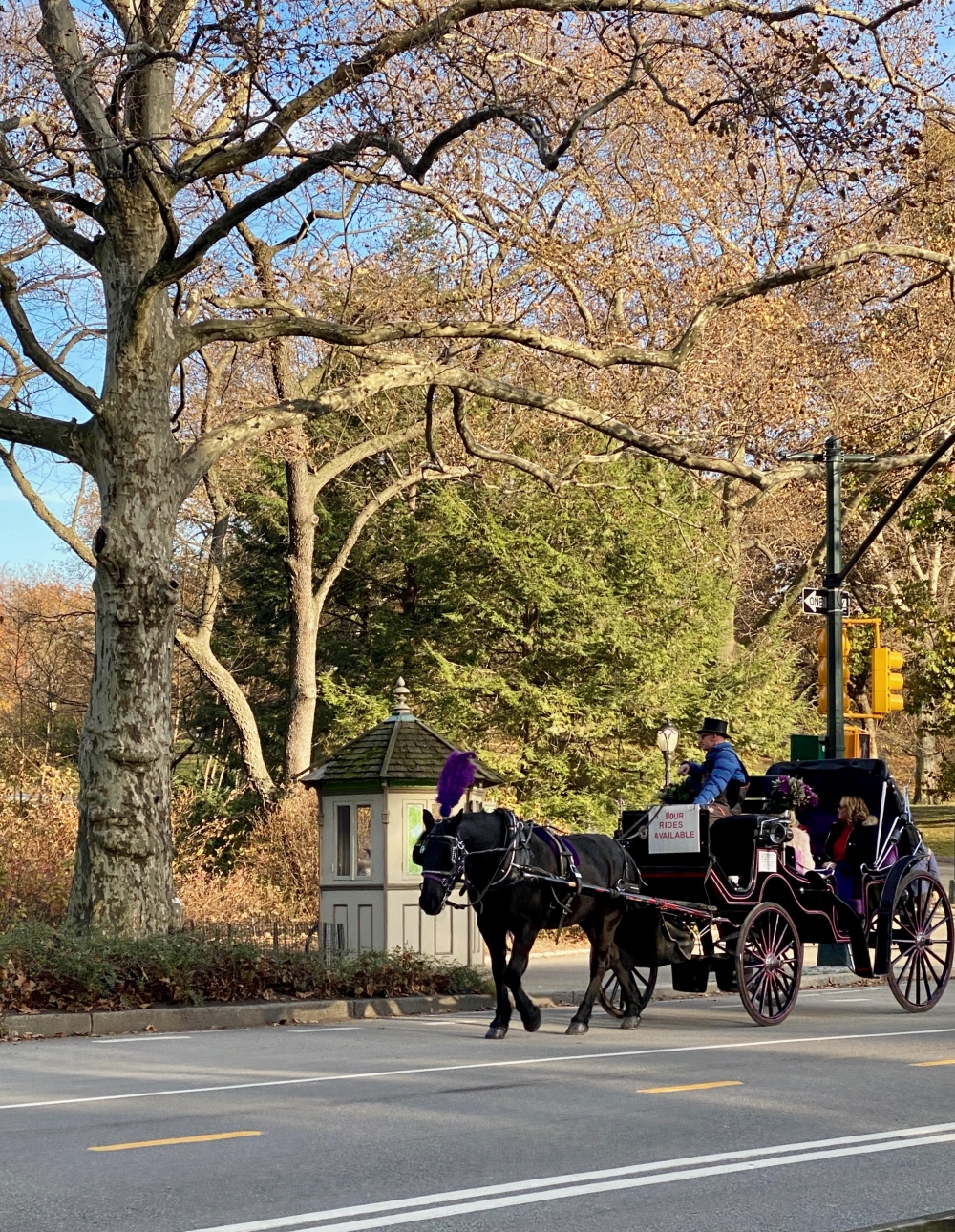 NYC