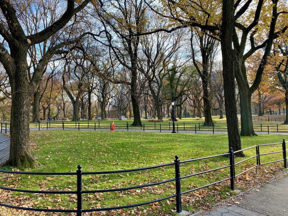 NYC