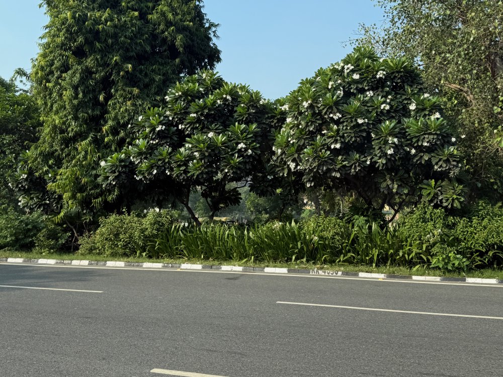 New Delhi
