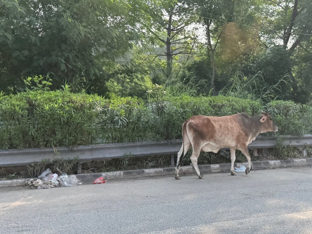 New Delhi