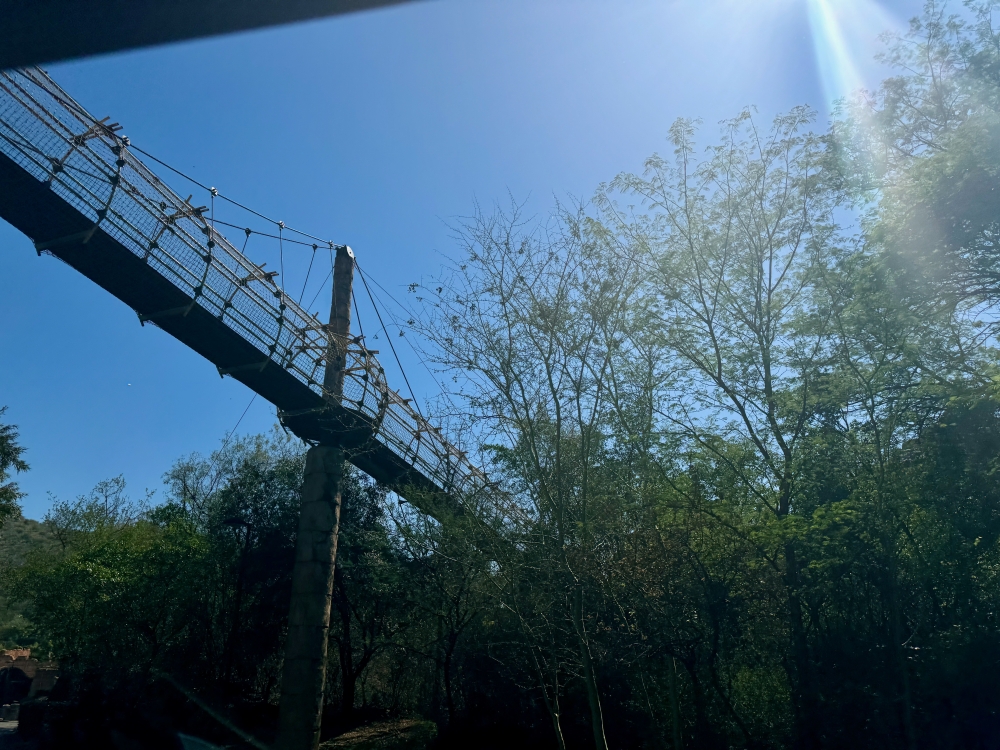 Pilanesberg