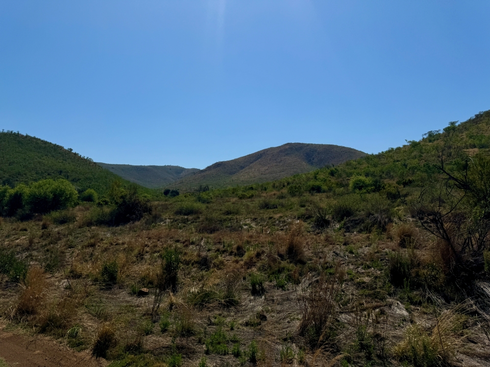 Pilanesberg