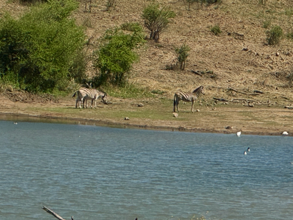 Pilanesberg