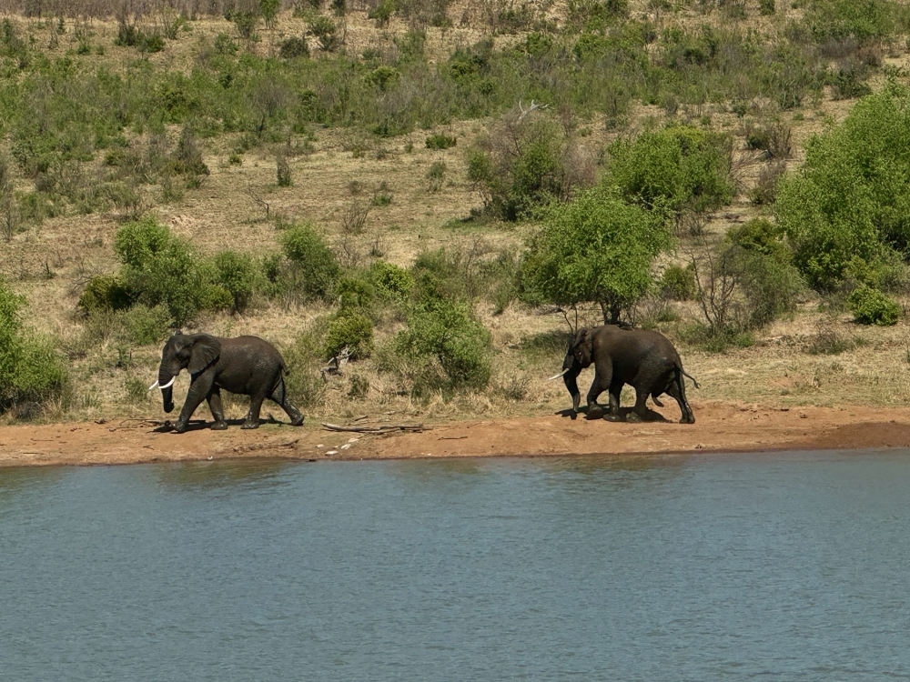 Pilanesberg