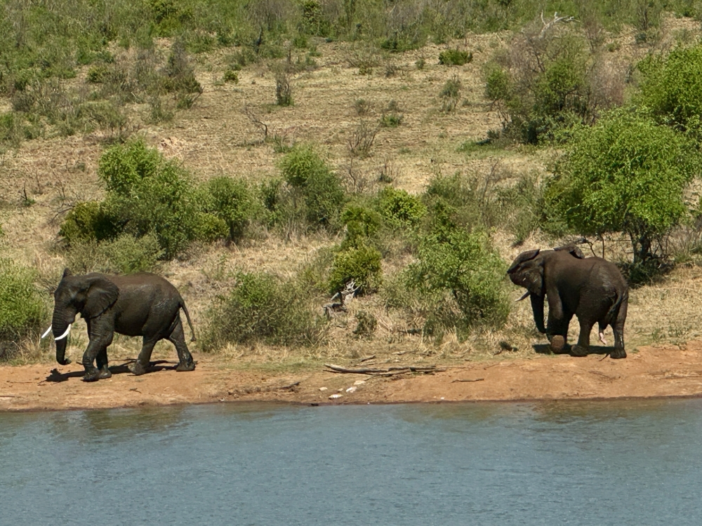 Pilanesberg