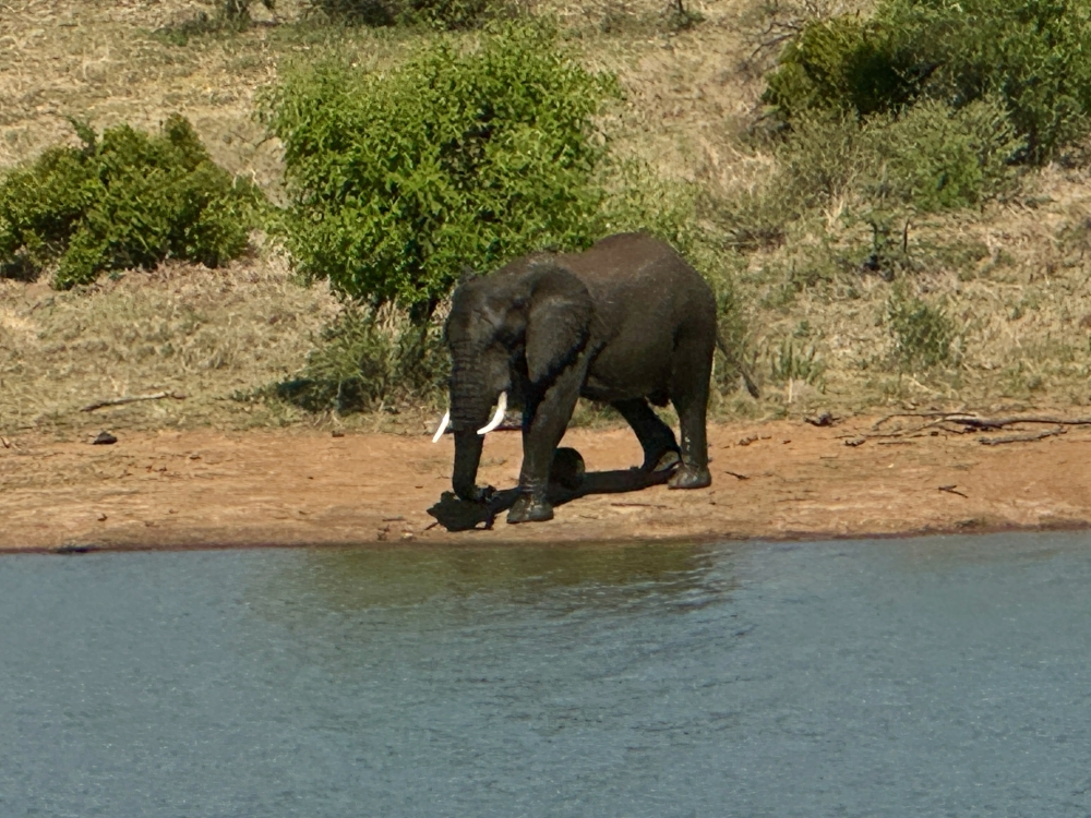 Pilanesberg