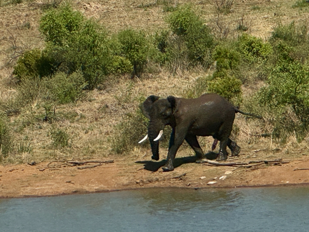 Pilanesberg