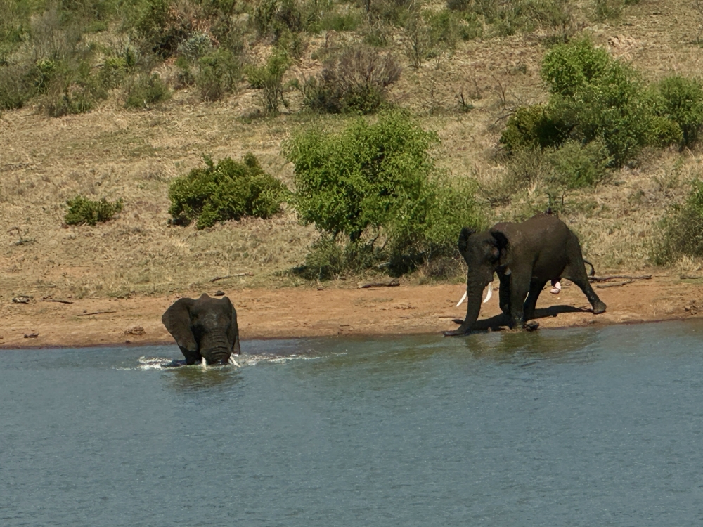 Pilanesberg