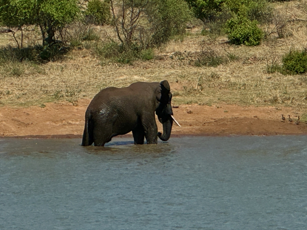 Pilanesberg