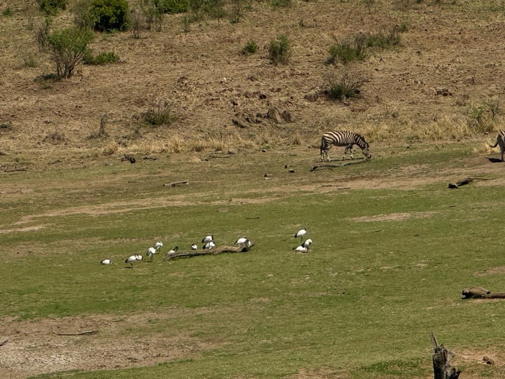 Pilanesberg