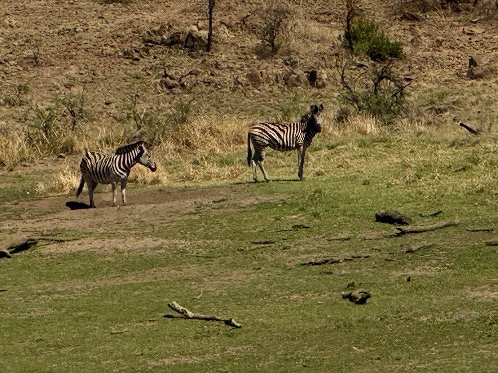 Pilanesberg