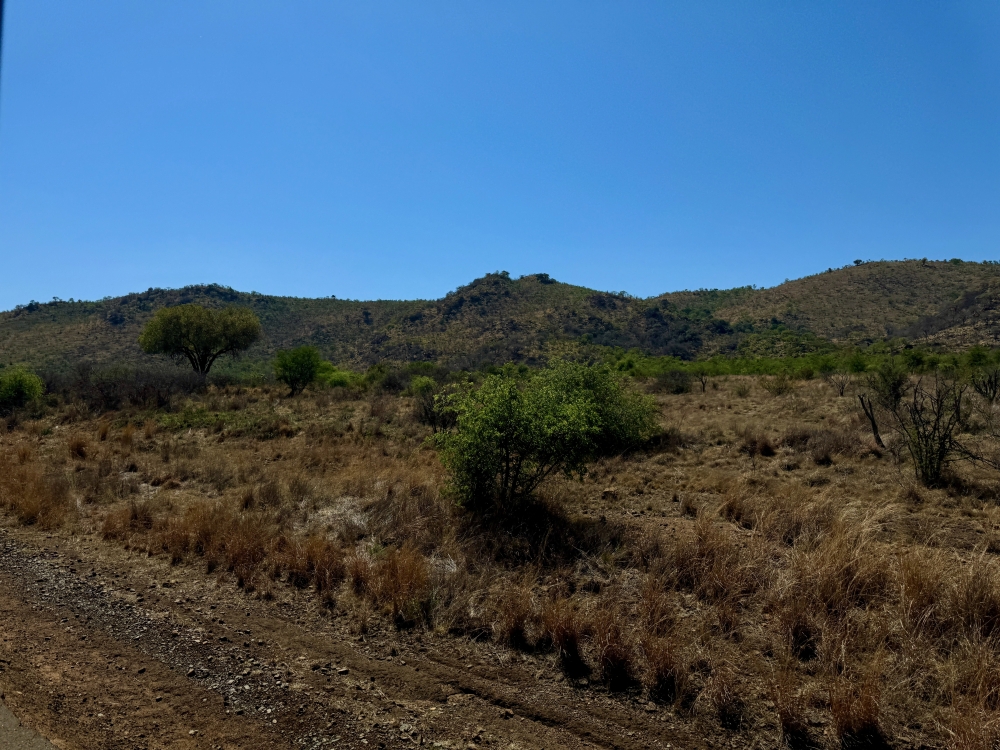 Pilanesberg