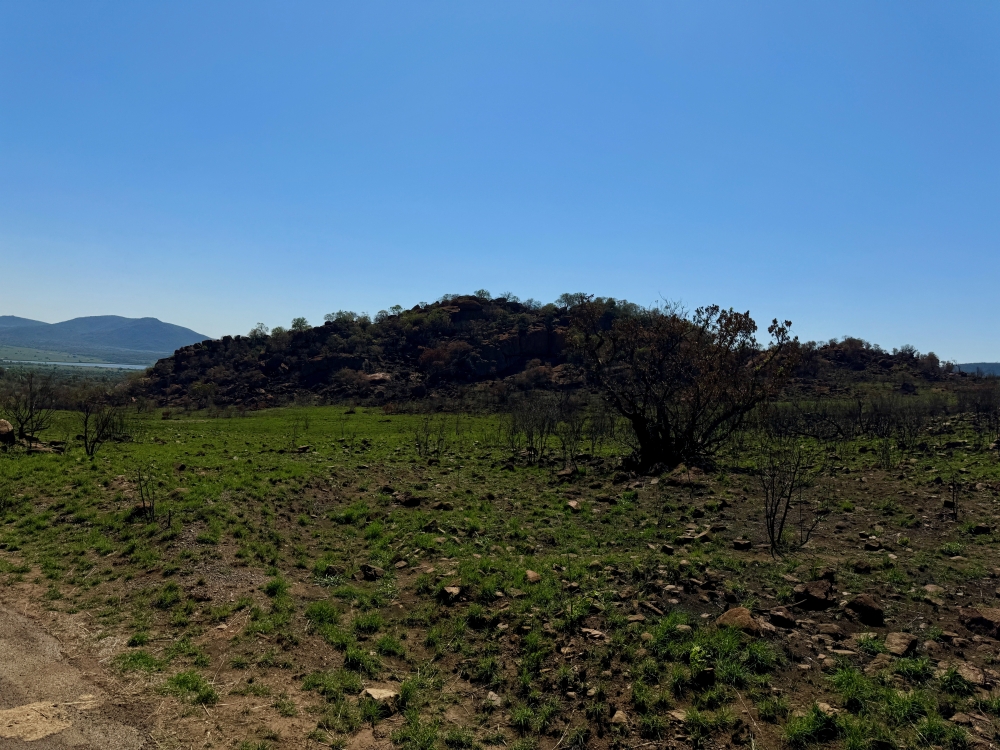 Pilanesberg