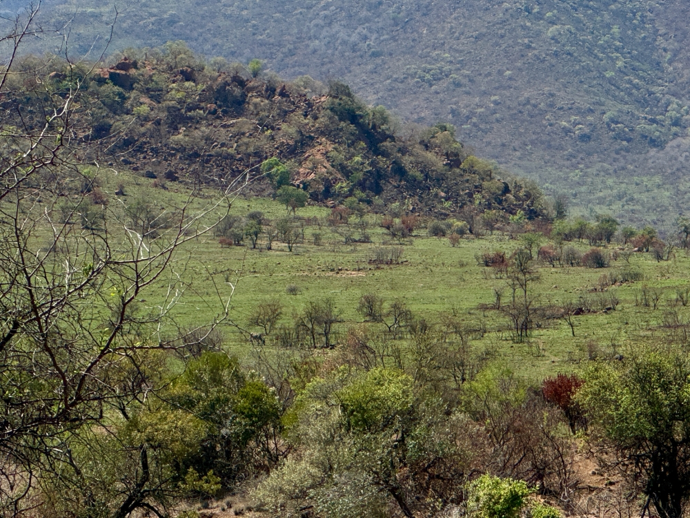 Pilanesberg